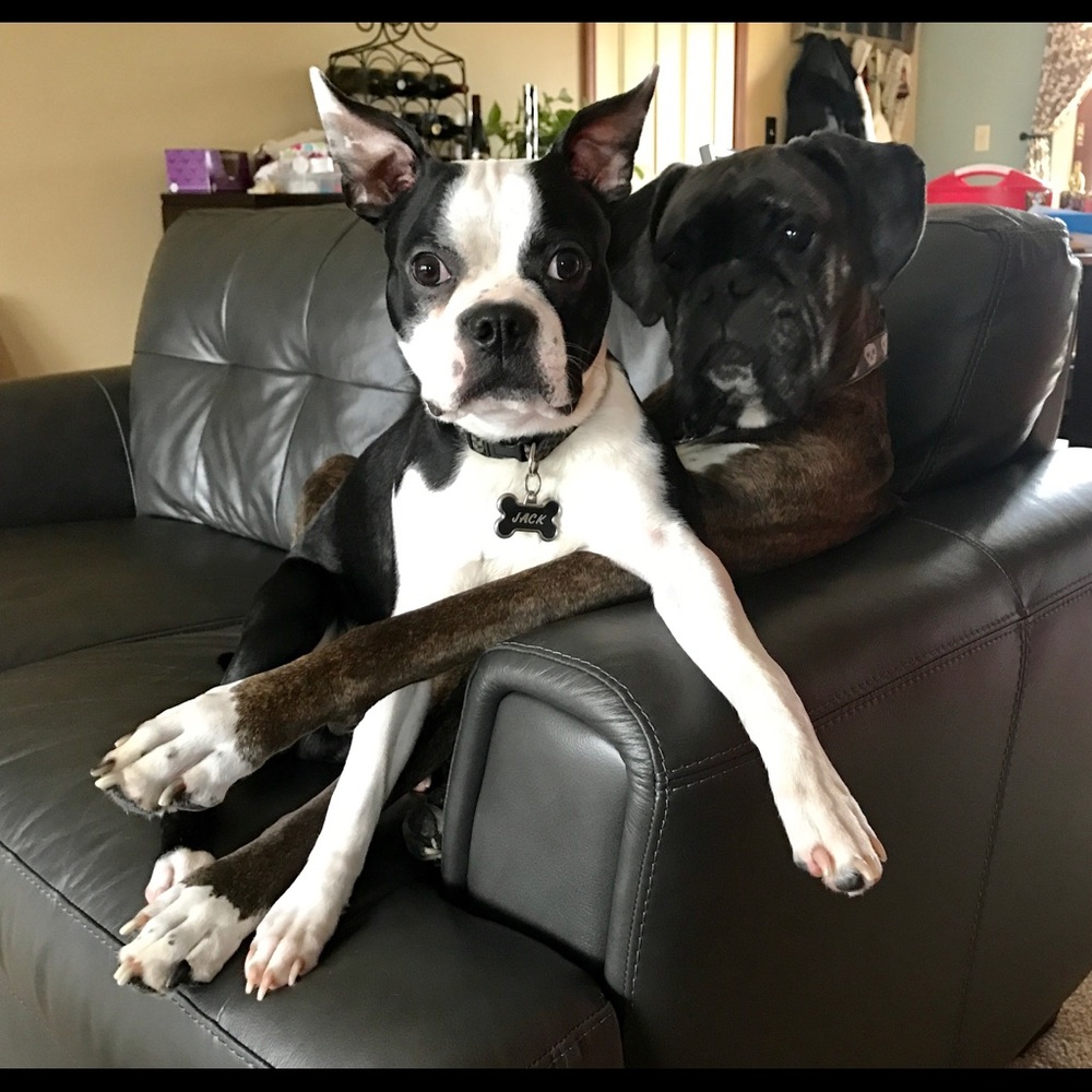 Meet your Posher, Tricia - Picture 3 of 3